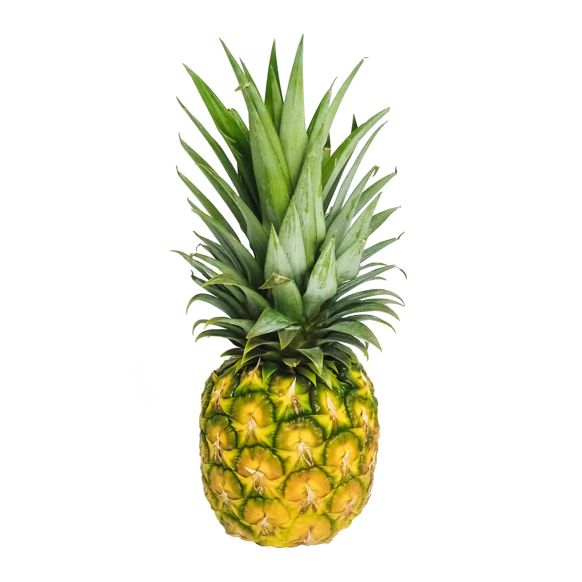 Pineapple Honeyglow 1.5 kg to 1.8 kg Kenya